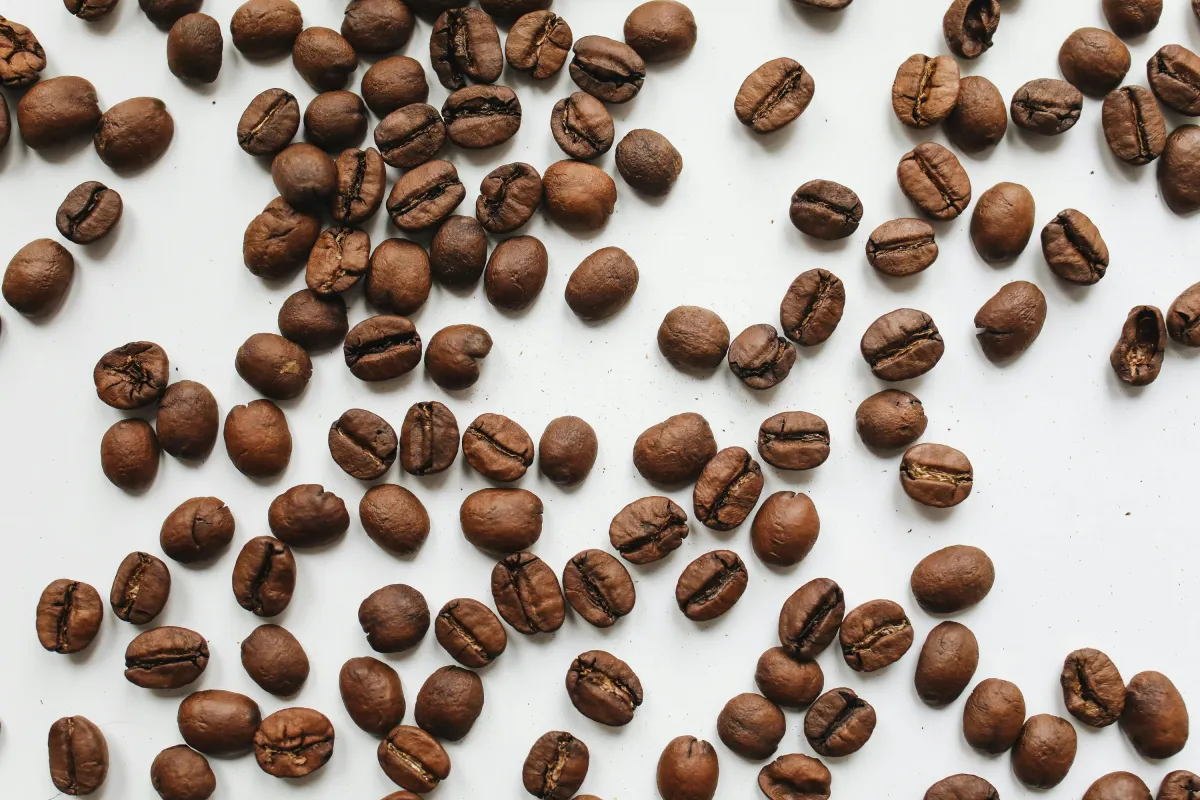 Sustainable Coffee Shops Leading the Way