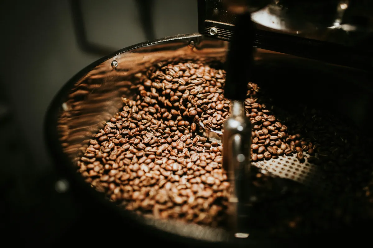 Close-up of roasted coffee beans used by cafes in Ireland